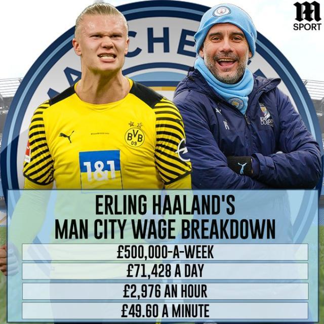 黄蜂新人连续高光表现（黄蜂新秀连场闪耀）